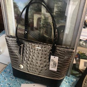 Brahmin Medium Asher